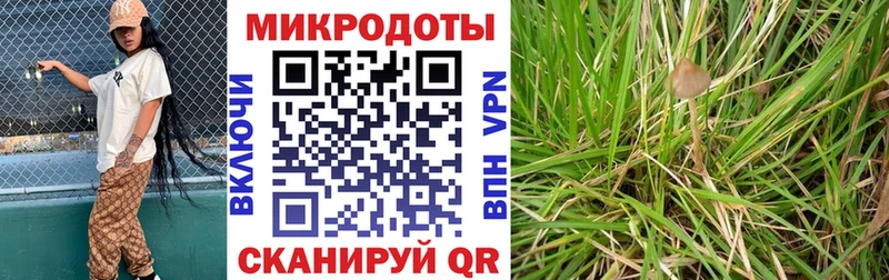 Псилоцибиновые грибы Cubensis  Купить закладки  Новопавловск 